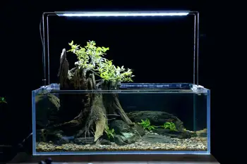 НЕДЕЛЯ Аквабелого цвета, пресноводный Палюдариум, светодиодный аквариумный светильник для акваскейпинга Nano Tank